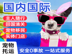 镶黄旗新宝拉格机场空运国际宠物托运 【国